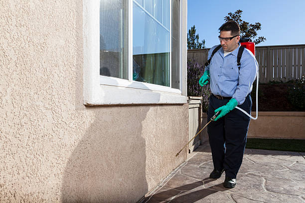 Pest Control for Hotels in Madison, IL